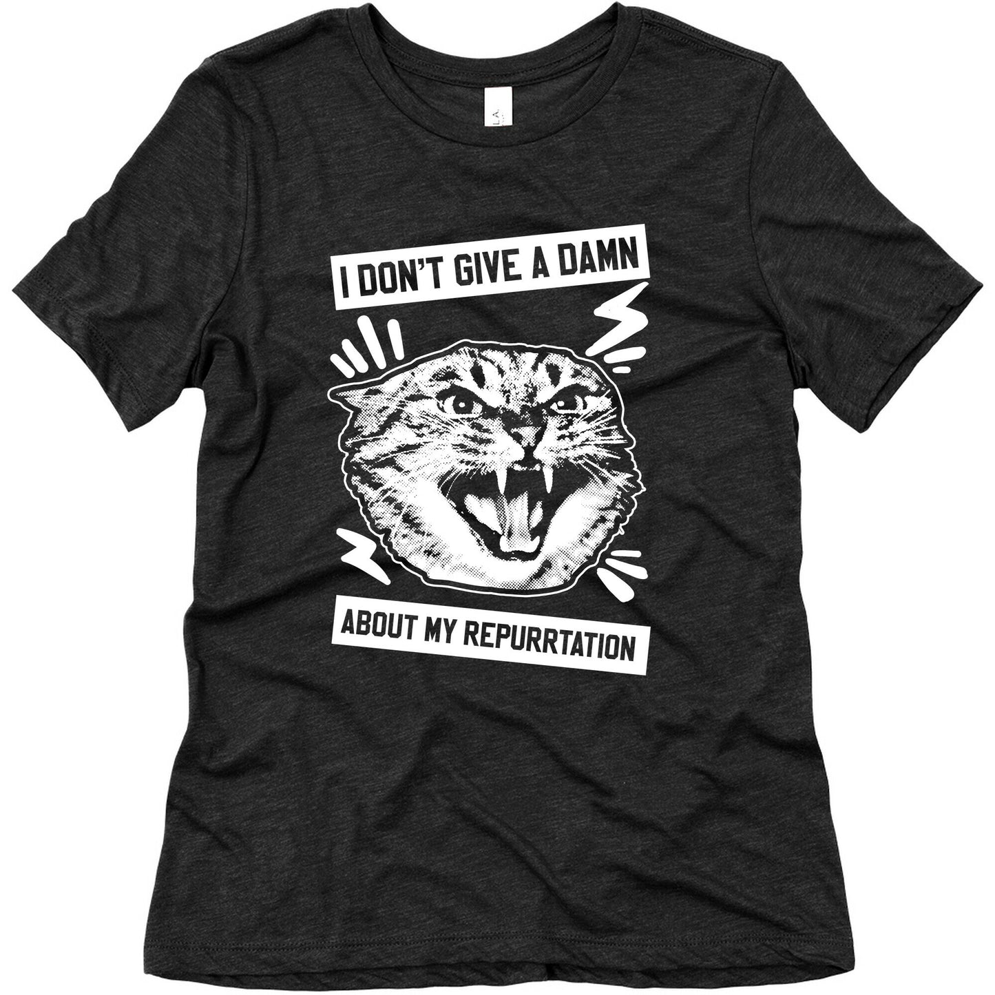 I Don't Give A Damn About My Repurrtation Women's Triblend Tee