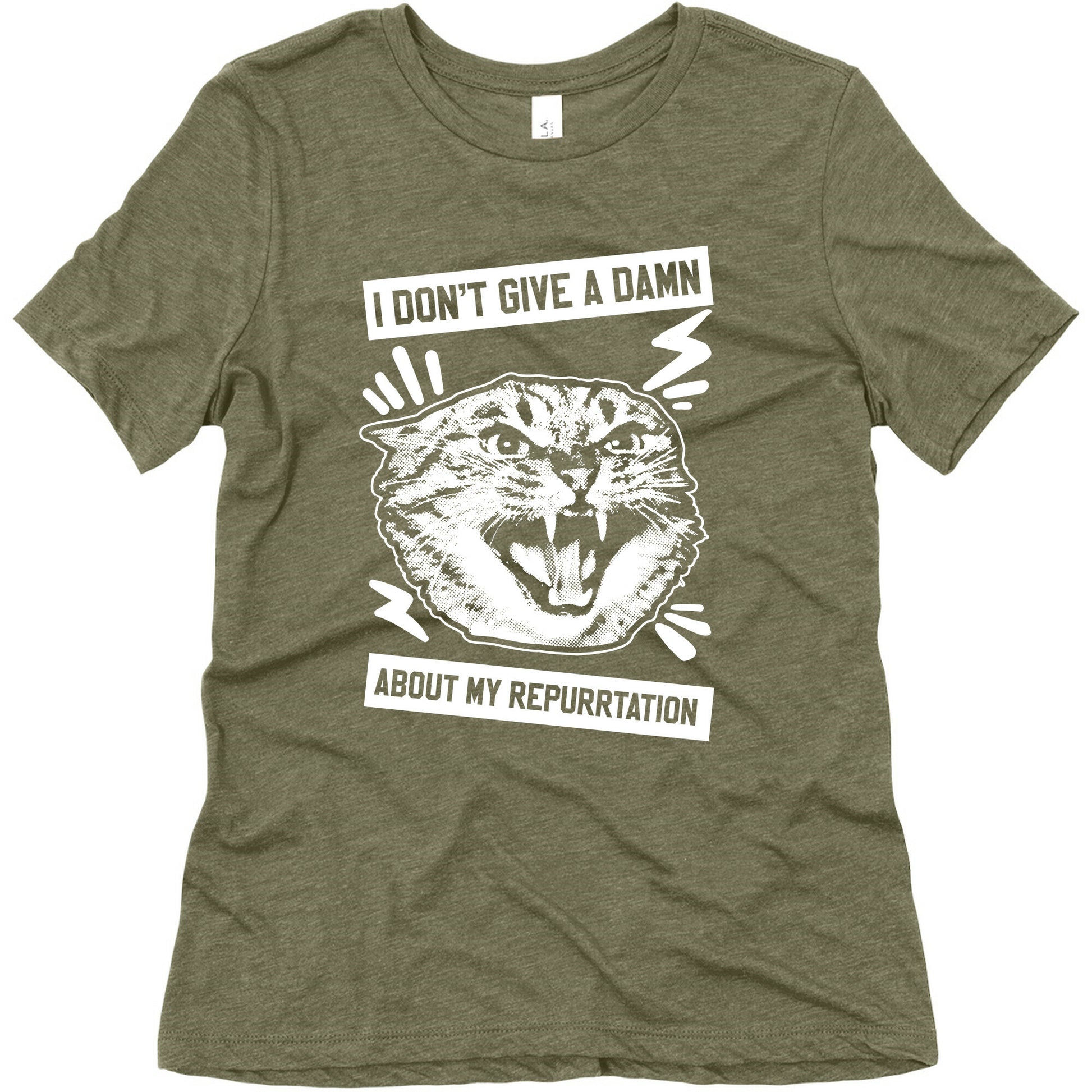 I Don't Give A Damn About My Repurrtation Women's Triblend Tee
