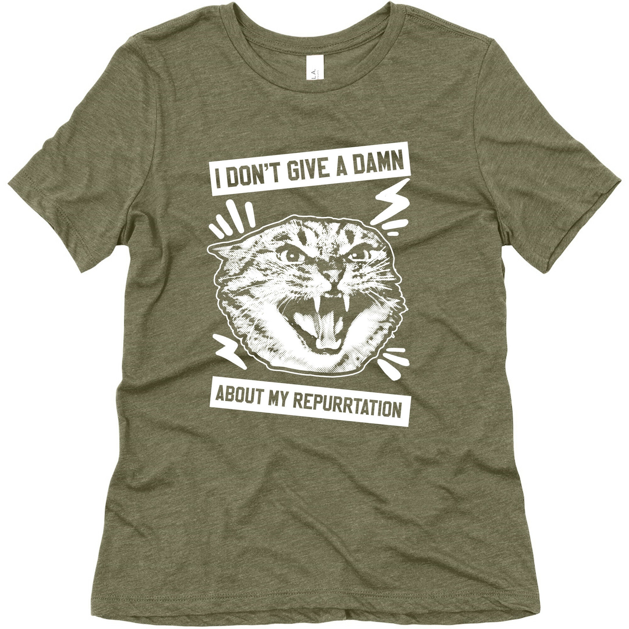 I Don't Give A Damn About My Repurrtation Women's Triblend Tee