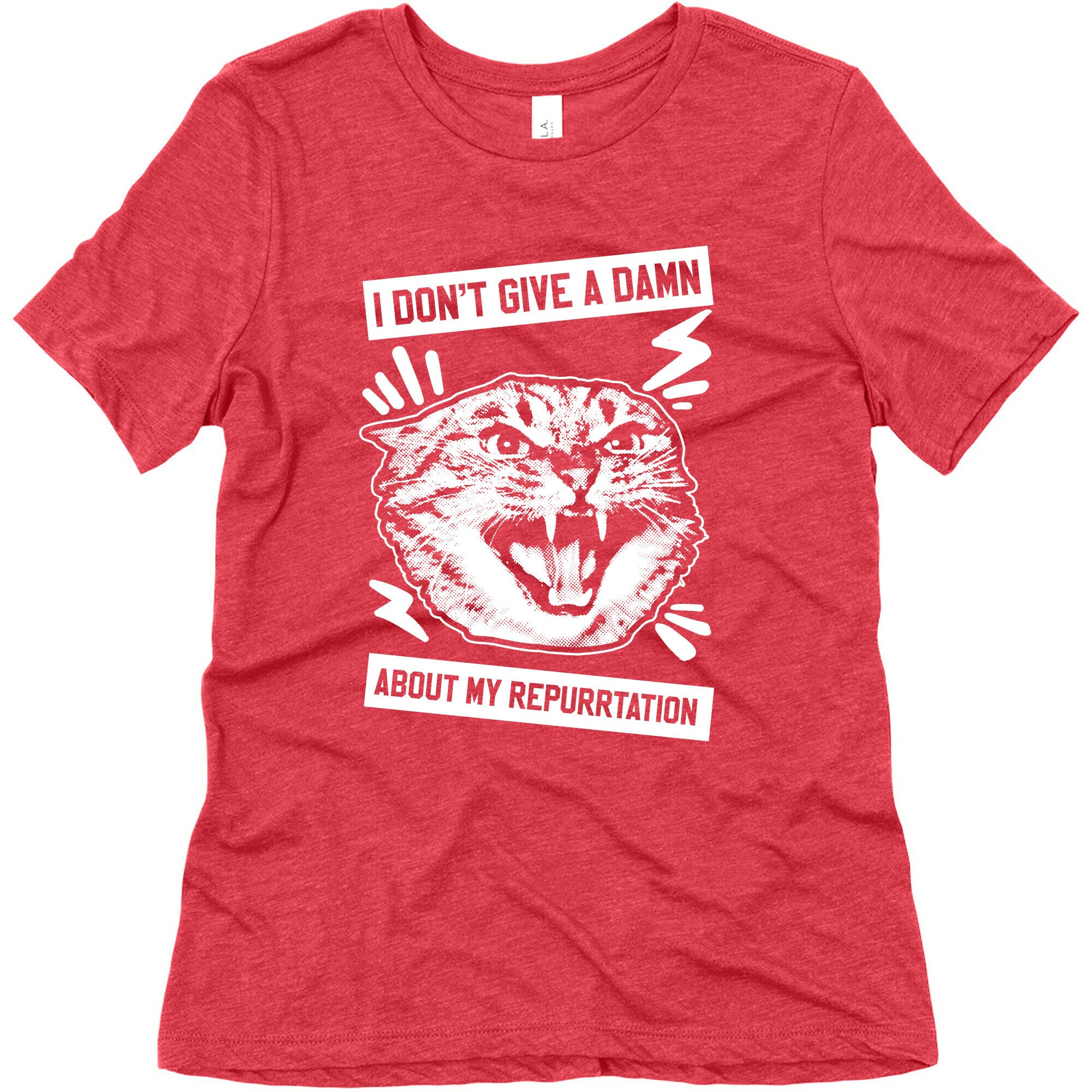I Don't Give A Damn About My Repurrtation Women's Triblend Tee