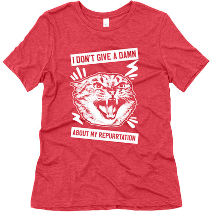 I Don't Give A Damn About My Repurrtation Women's Triblend Tee