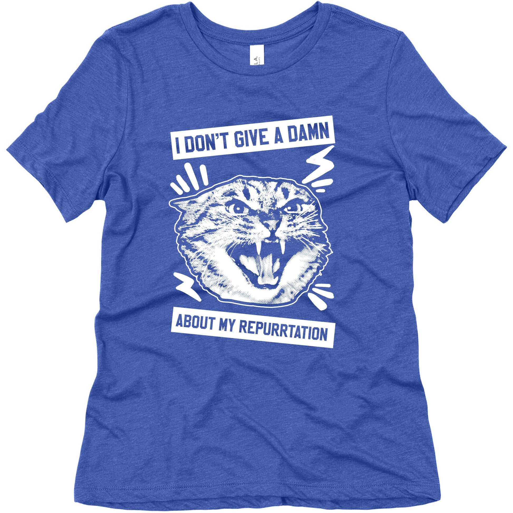I Don't Give A Damn About My Repurrtation Women's Triblend Tee