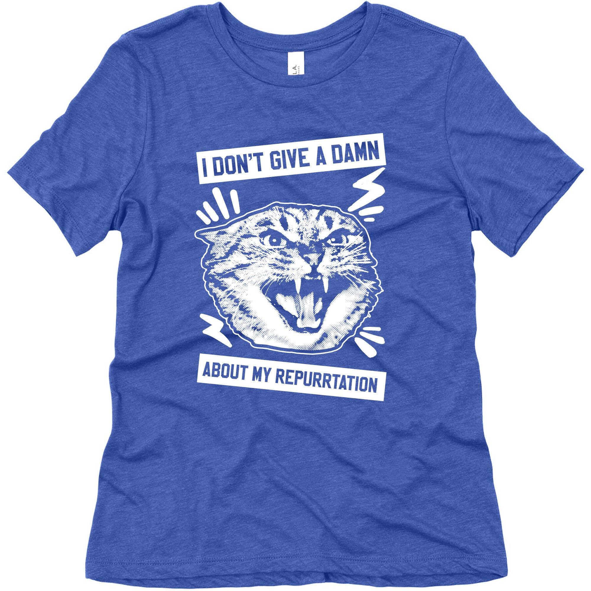 I Don't Give A Damn About My Repurrtation Women's Triblend Tee