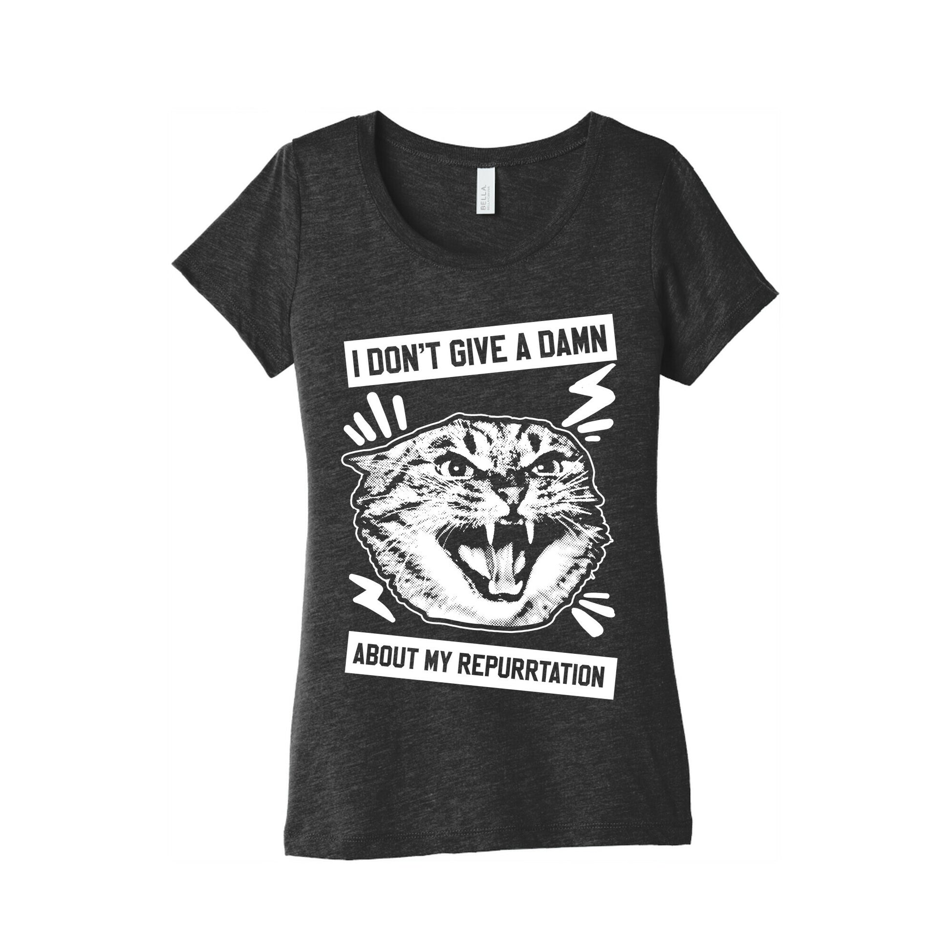 I Don't Give A Damn About My Repurrtation Women's Triblend Tee