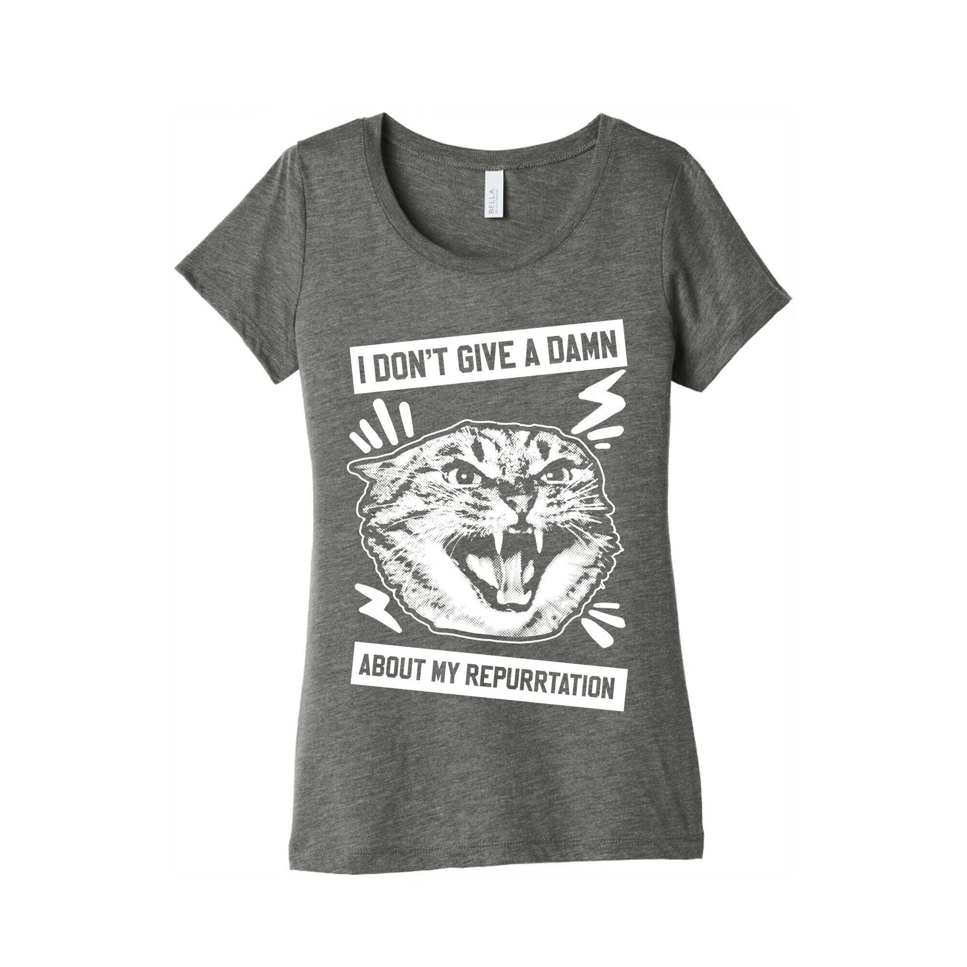 I Don't Give A Damn About My Repurrtation Women's Triblend Tee