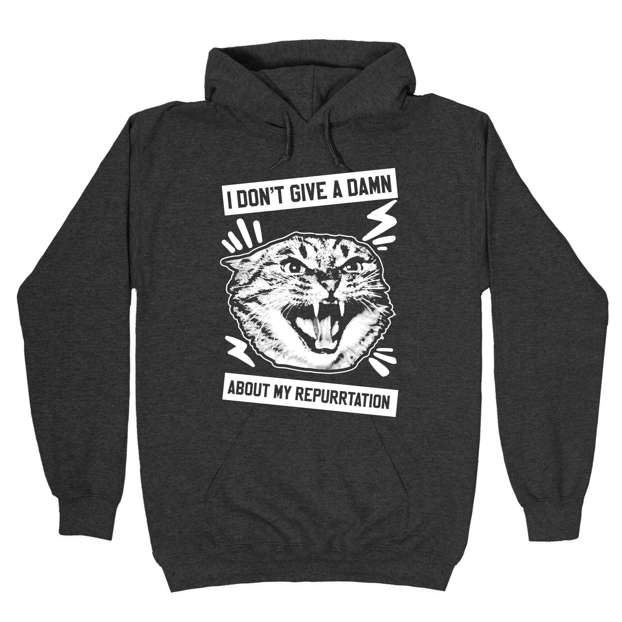 I Don't Give A Damn About My Repurrtation Hoodie