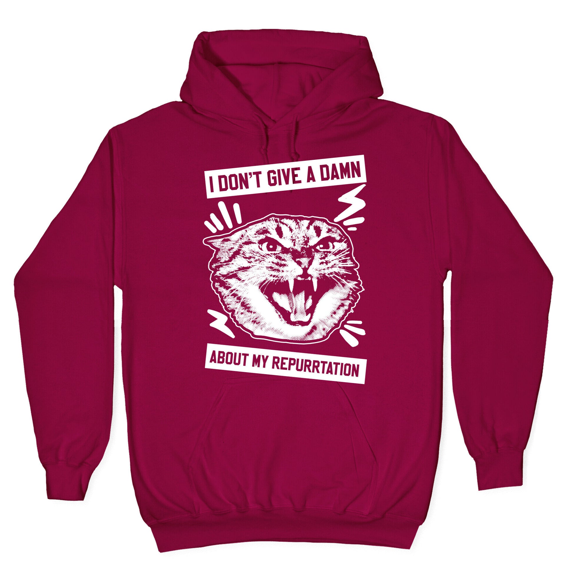 I Don't Give A Damn About My Repurrtation Hoodie