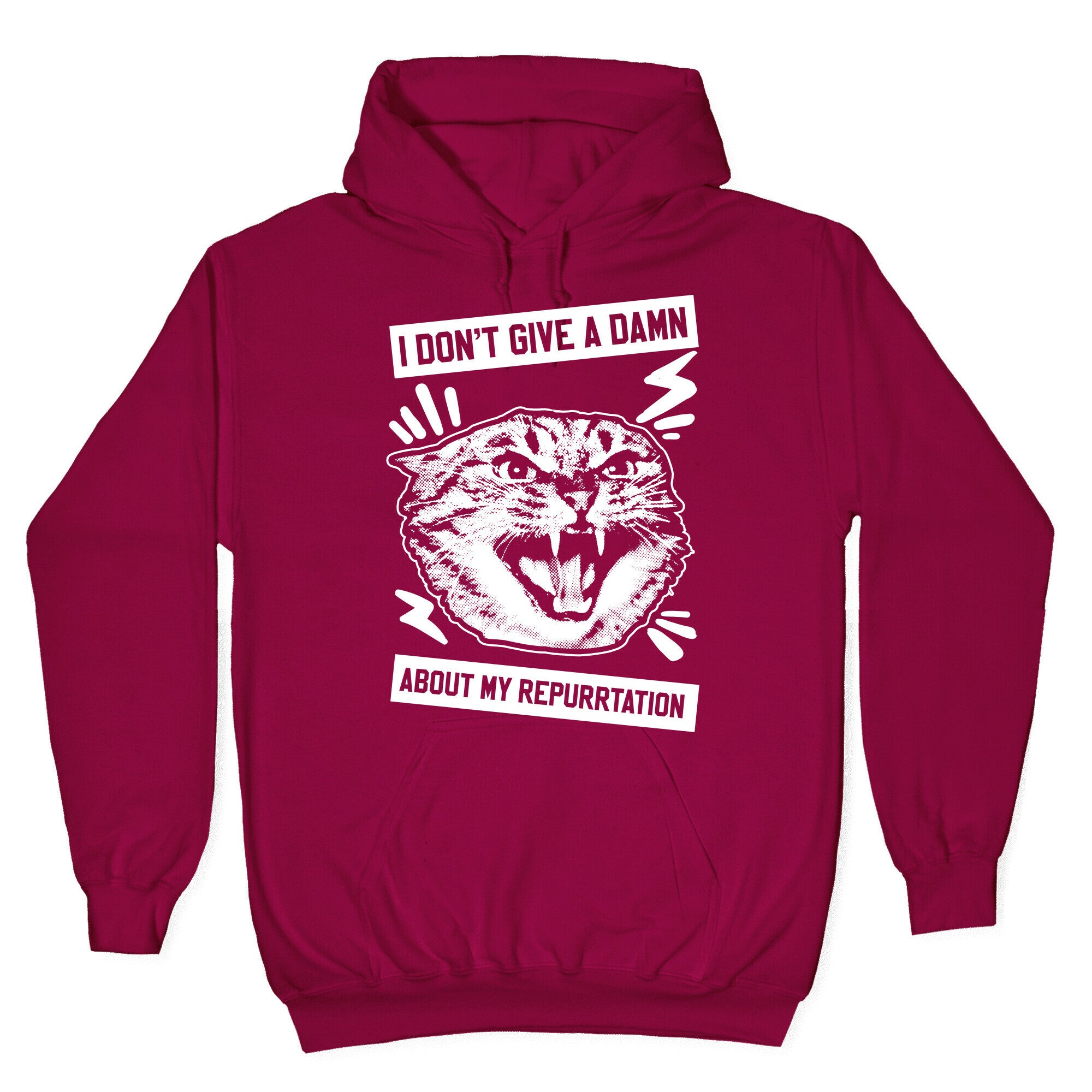 I Don't Give A Damn About My Repurrtation Hoodie