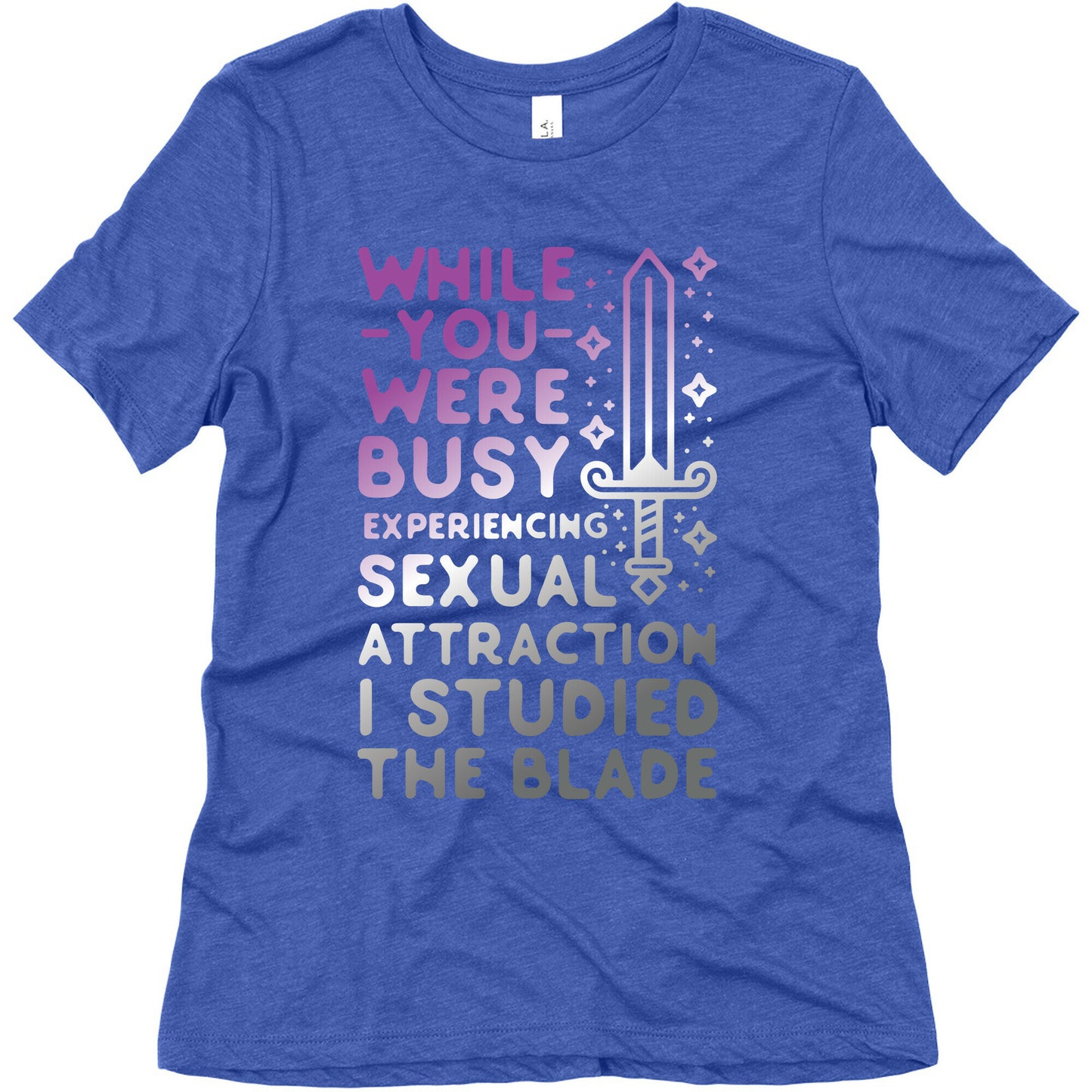 While You Were Busy Experiencing Sexual Attraction Women's Triblend Tee