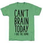Can't Brain Today I Has The Dumb Unisex Triblend Tee