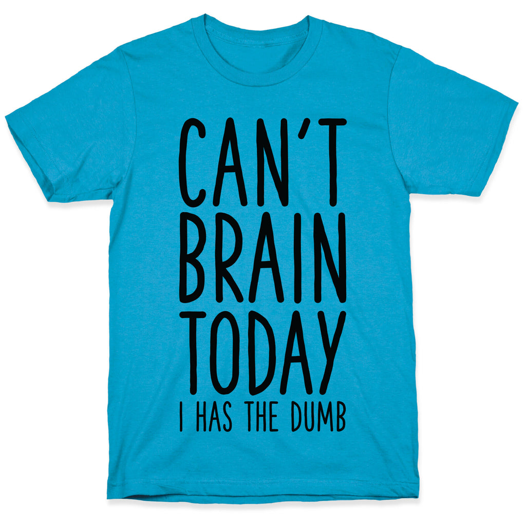 Can't Brain Today I Has The Dumb Unisex Triblend Tee