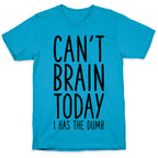 Can't Brain Today I Has The Dumb Unisex Triblend Tee