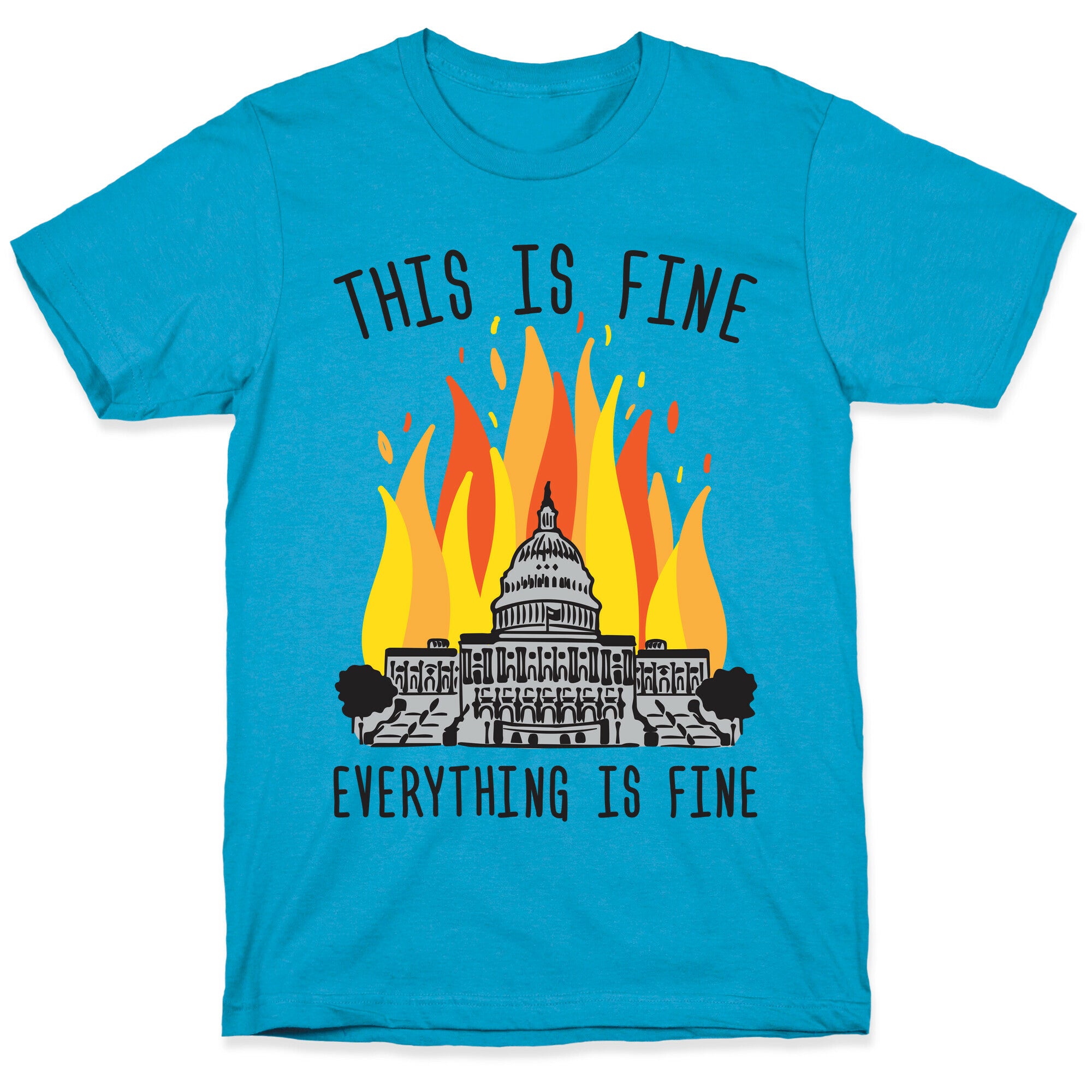 This Is Fine Everything Is Fine U.S. Capitol Unisex Triblend Tee