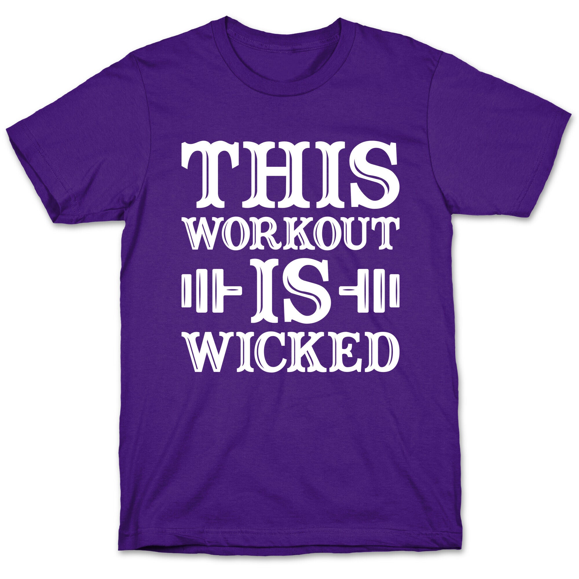 This Workout Is Wicked T-Shirt