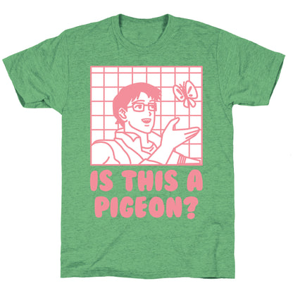 Is This A Pigeon? Unisex Triblend Tee