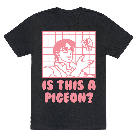 Is This A Pigeon? Unisex Triblend Tee