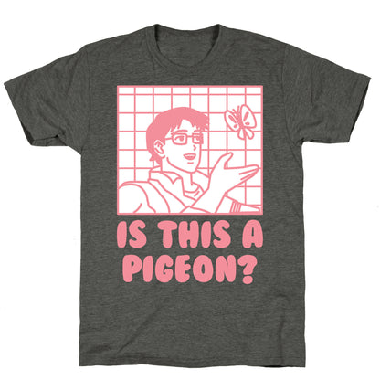 Is This A Pigeon? Unisex Triblend Tee