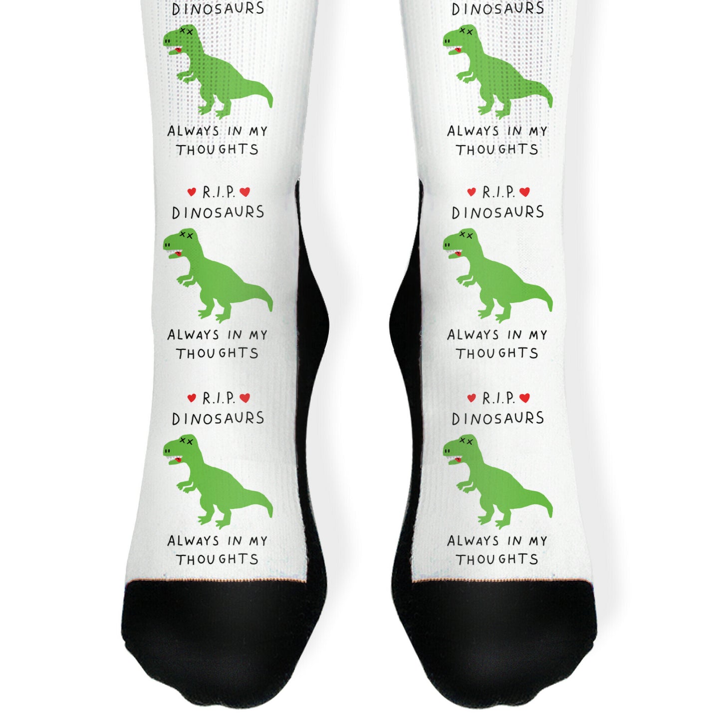 RIP Dinosaurs Socks