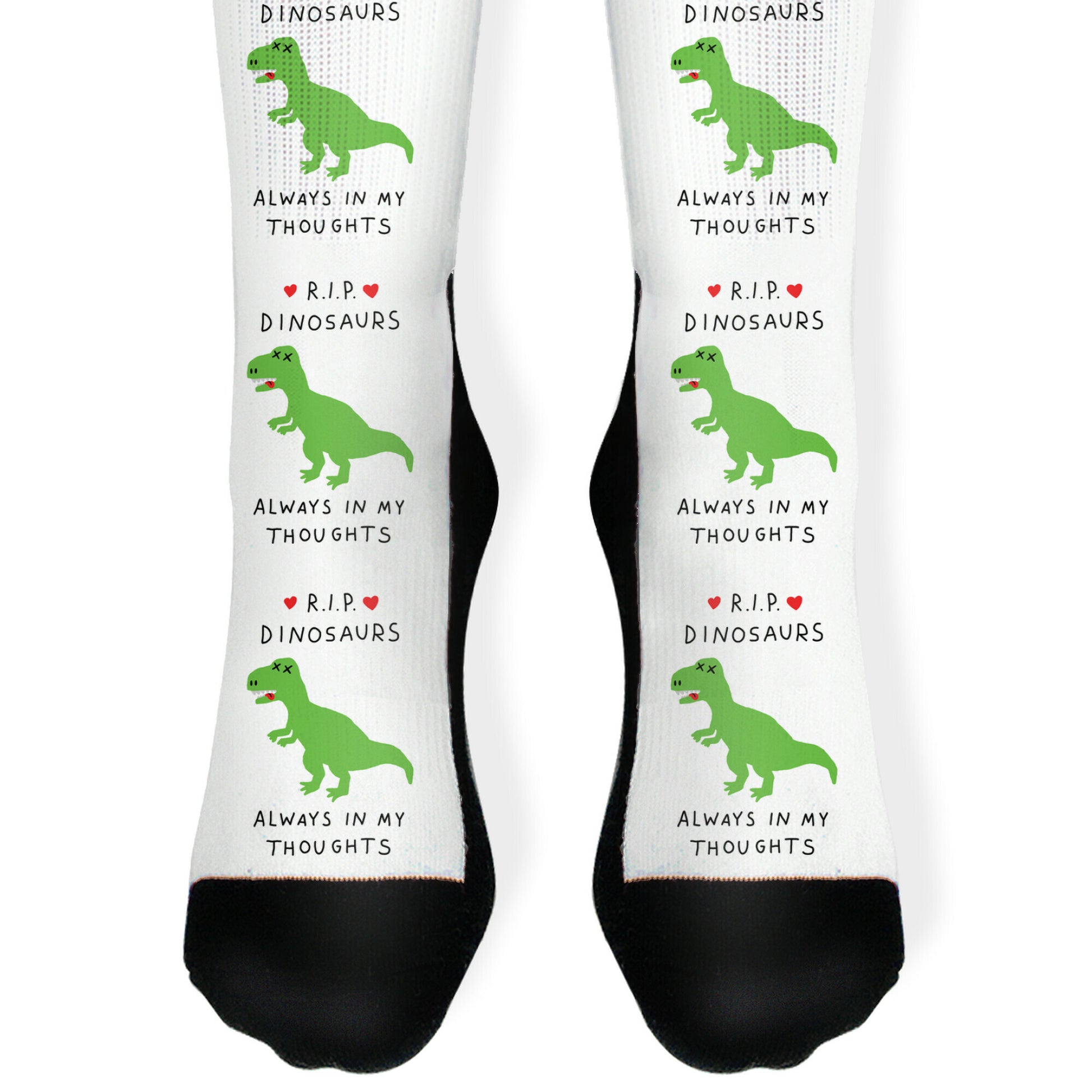 RIP Dinosaurs Socks