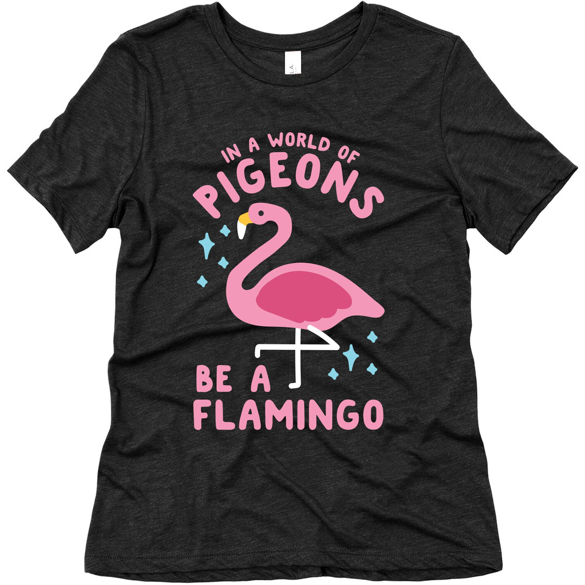 In a World Of Pigeons Women's Triblend Tee