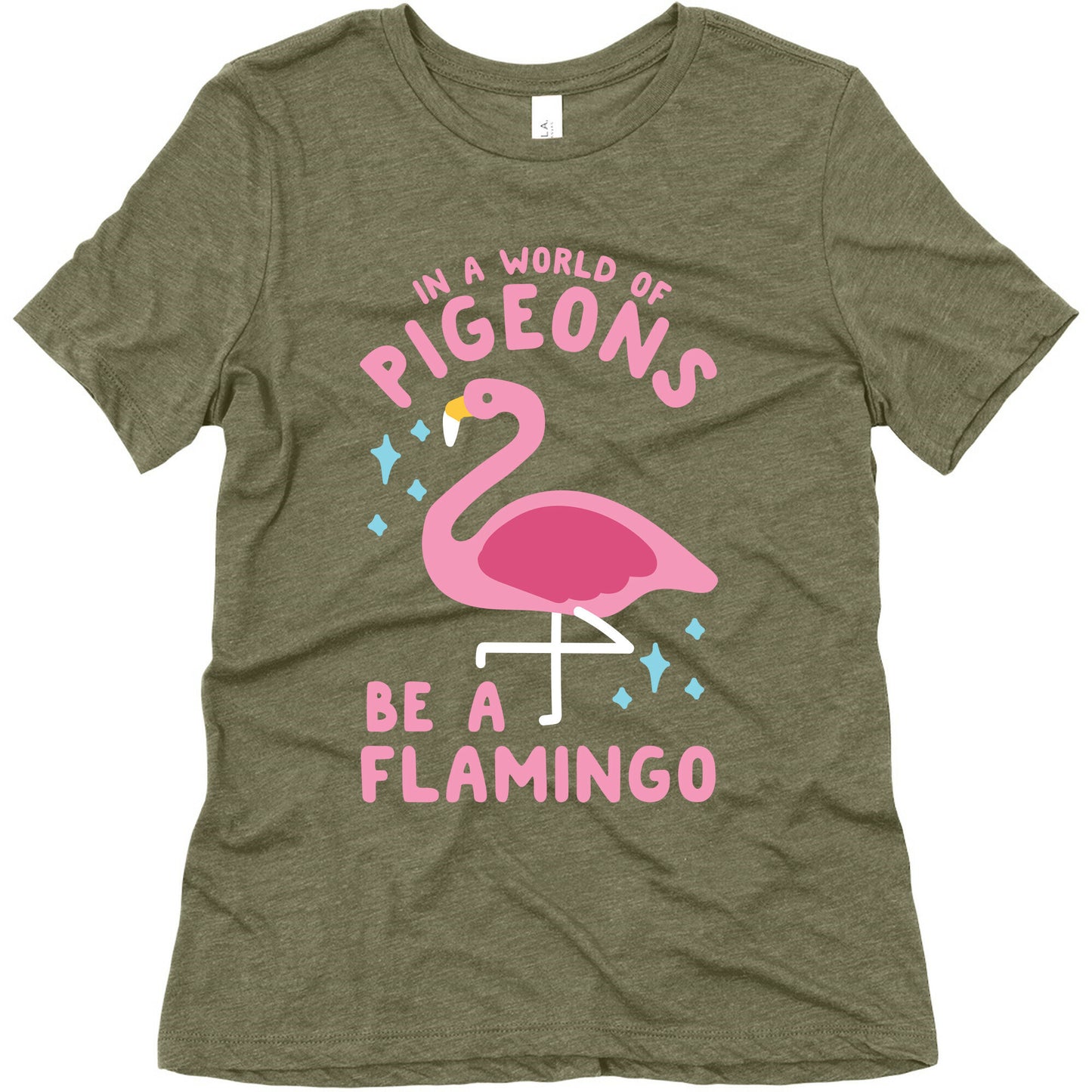 In a World Of Pigeons Women's Triblend Tee