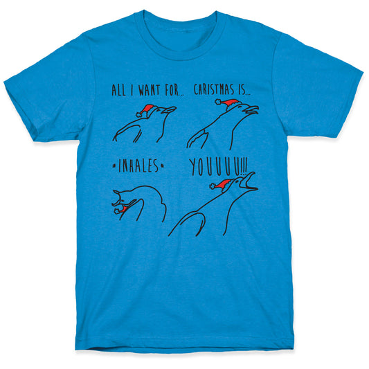 All I Want For Christmas Is You Meme Parody T-Shirt