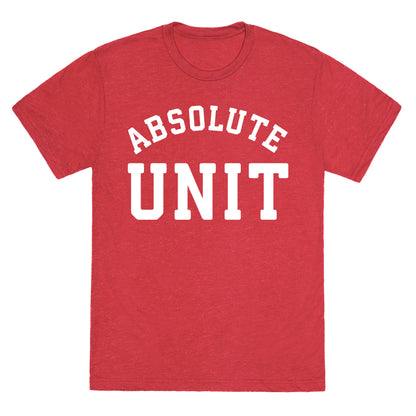 Absolute Unit Unisex Triblend Tee