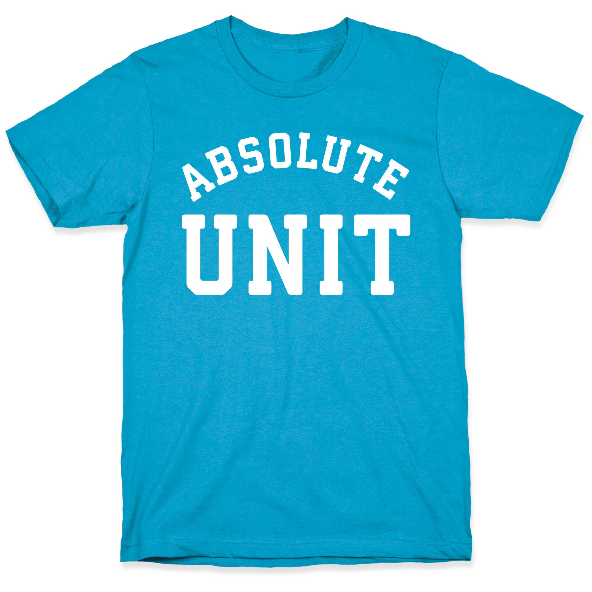 Absolute Unit Unisex Triblend Tee