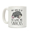 Only Wake Me Up To Give Me Snacks Opossum Coffee Mug