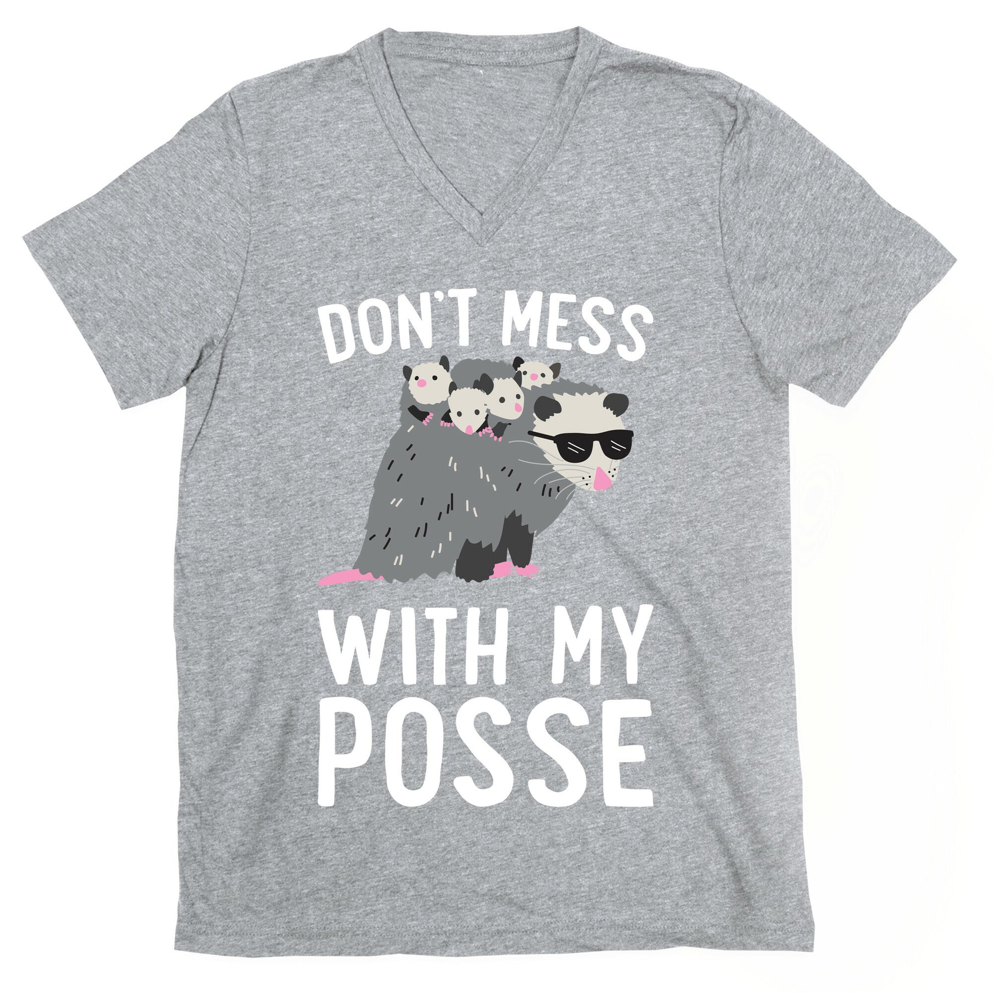 Don't Mess With My Posse Opossum V-Neck