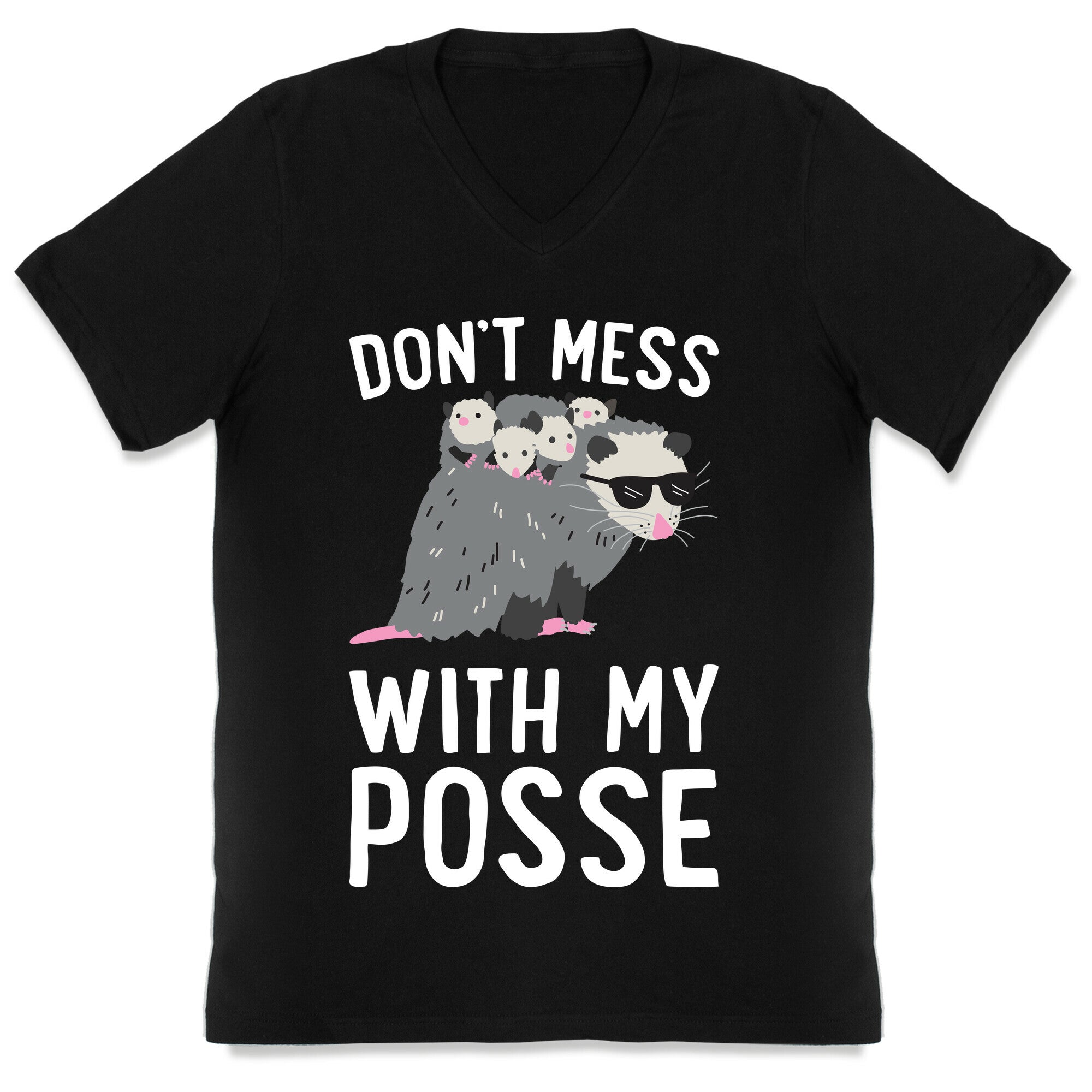 Don't Mess With My Posse Opossum V-Neck