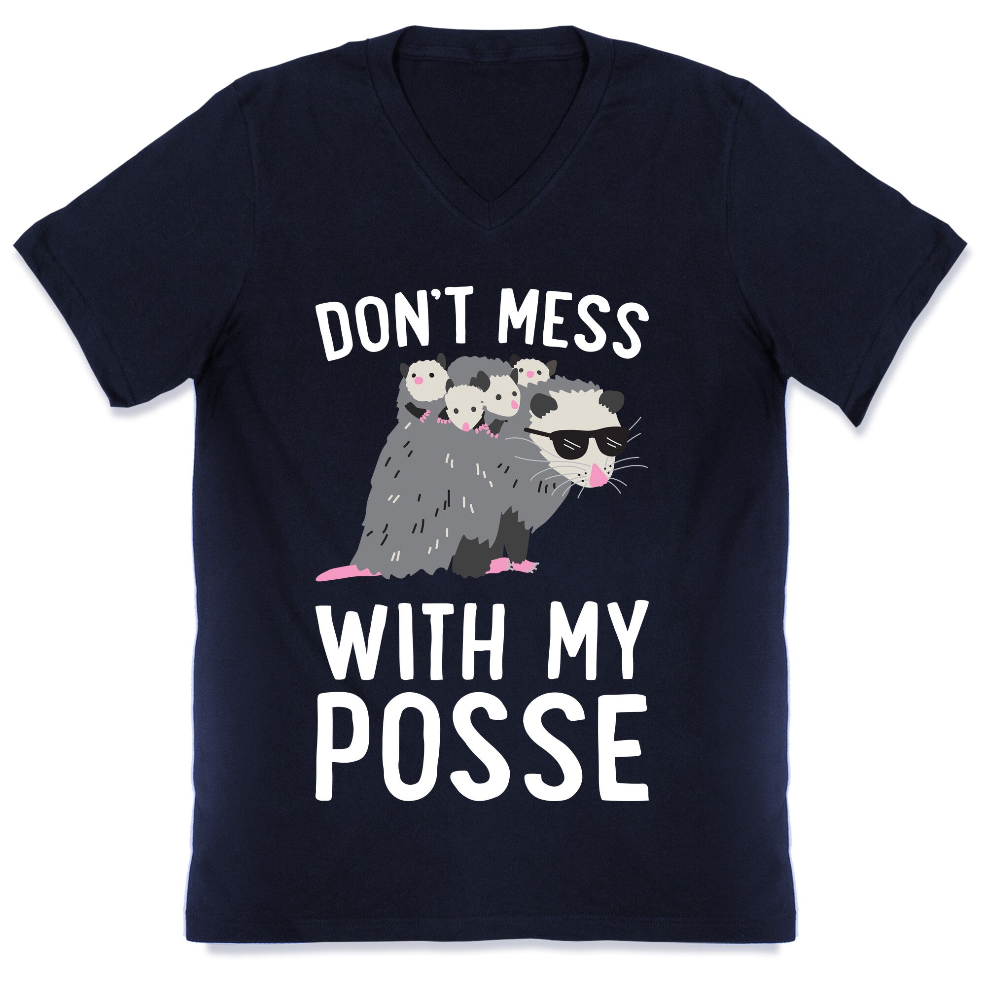 Don't Mess With My Posse Opossum V-Neck