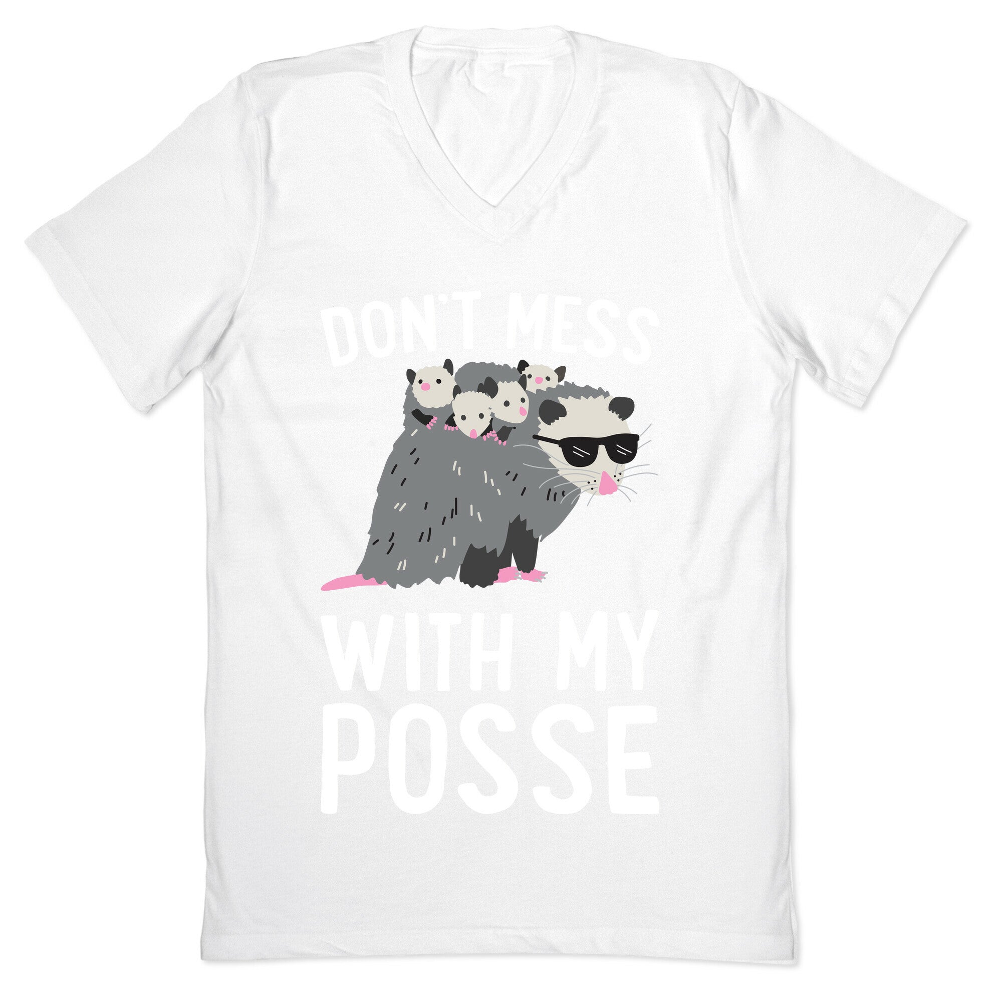 Don't Mess With My Posse Opossum V-Neck