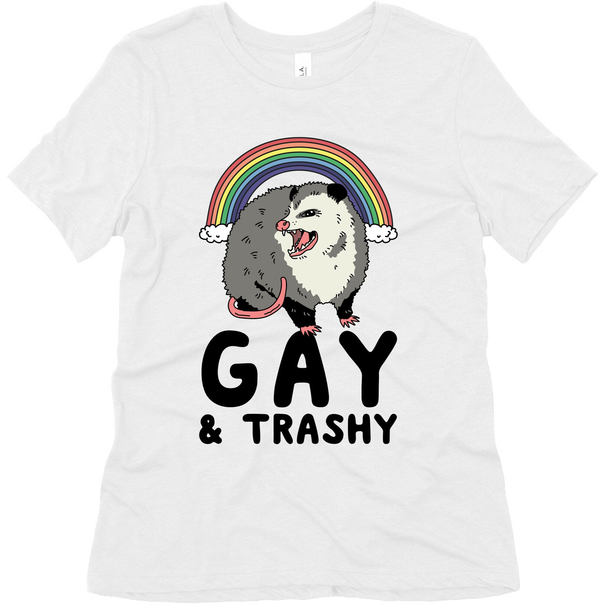 Gay and Trashy Possum Women's Triblend Tee