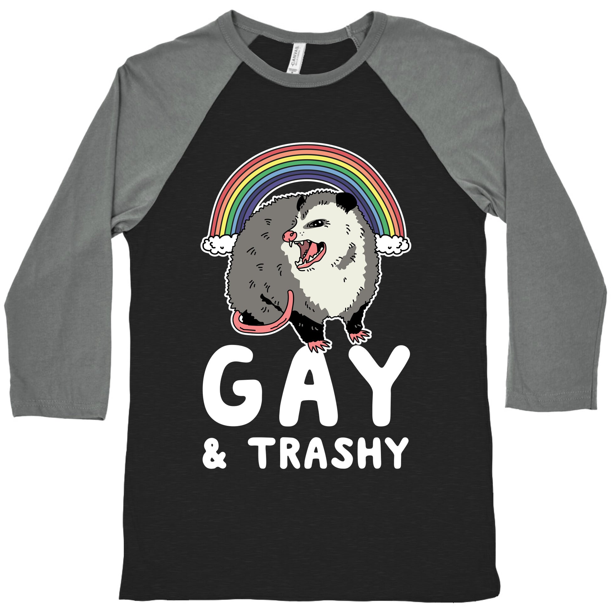 Gay and Trashy Possum Baseball Tee