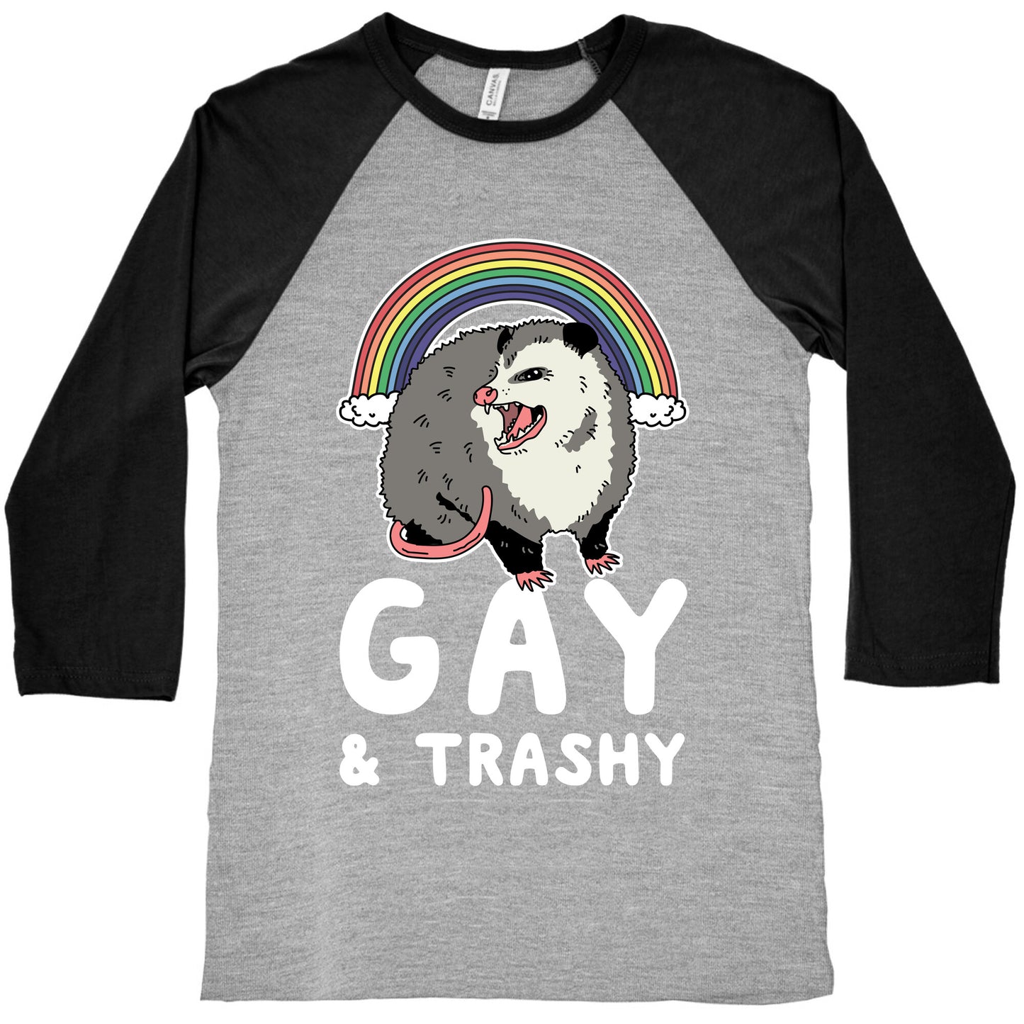 Gay and Trashy Possum Baseball Tee