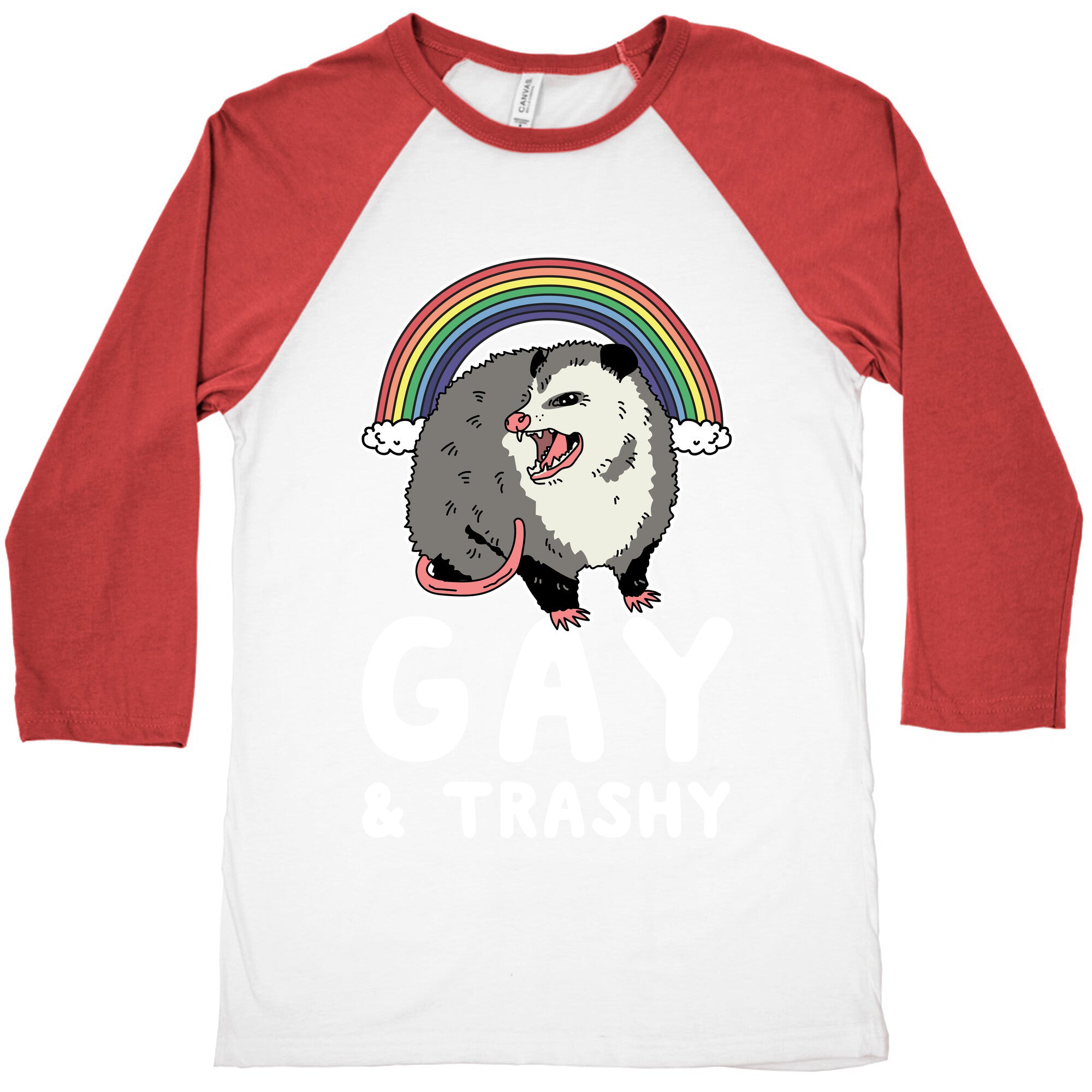 Gay and Trashy Possum Baseball Tee