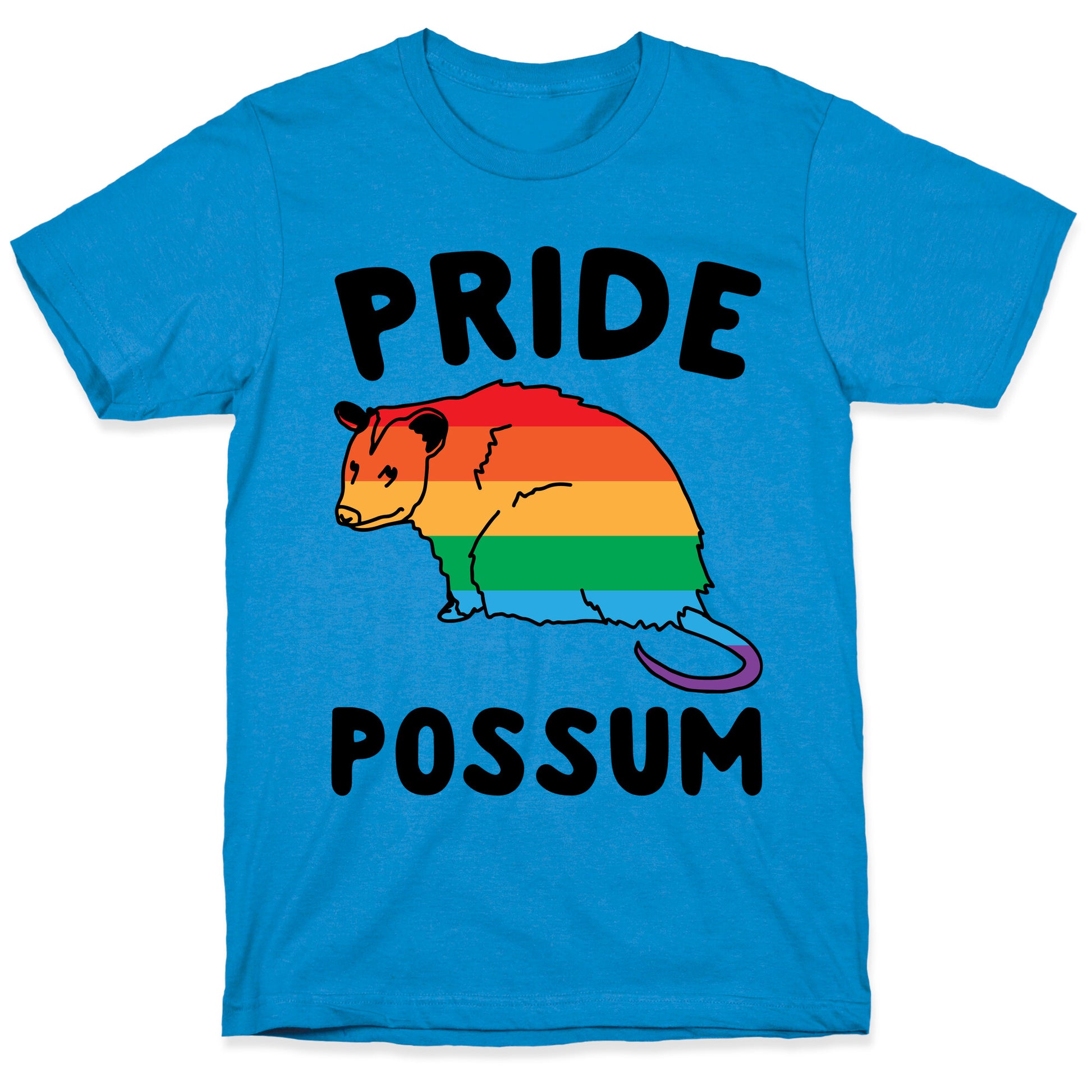 Pride Possum  T-Shirt