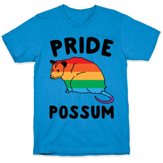 Pride Possum  T-Shirt