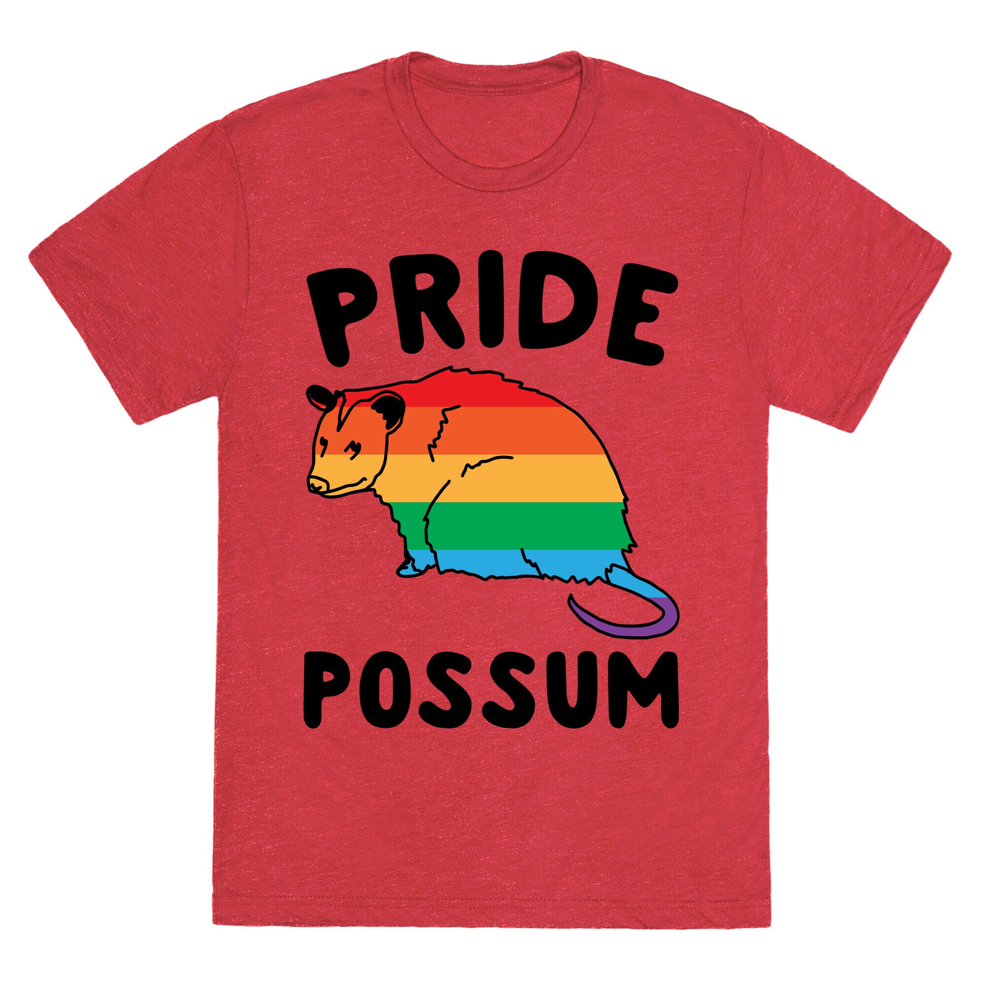 Pride Possum  Unisex Triblend Tee