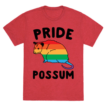 Pride Possum  Unisex Triblend Tee