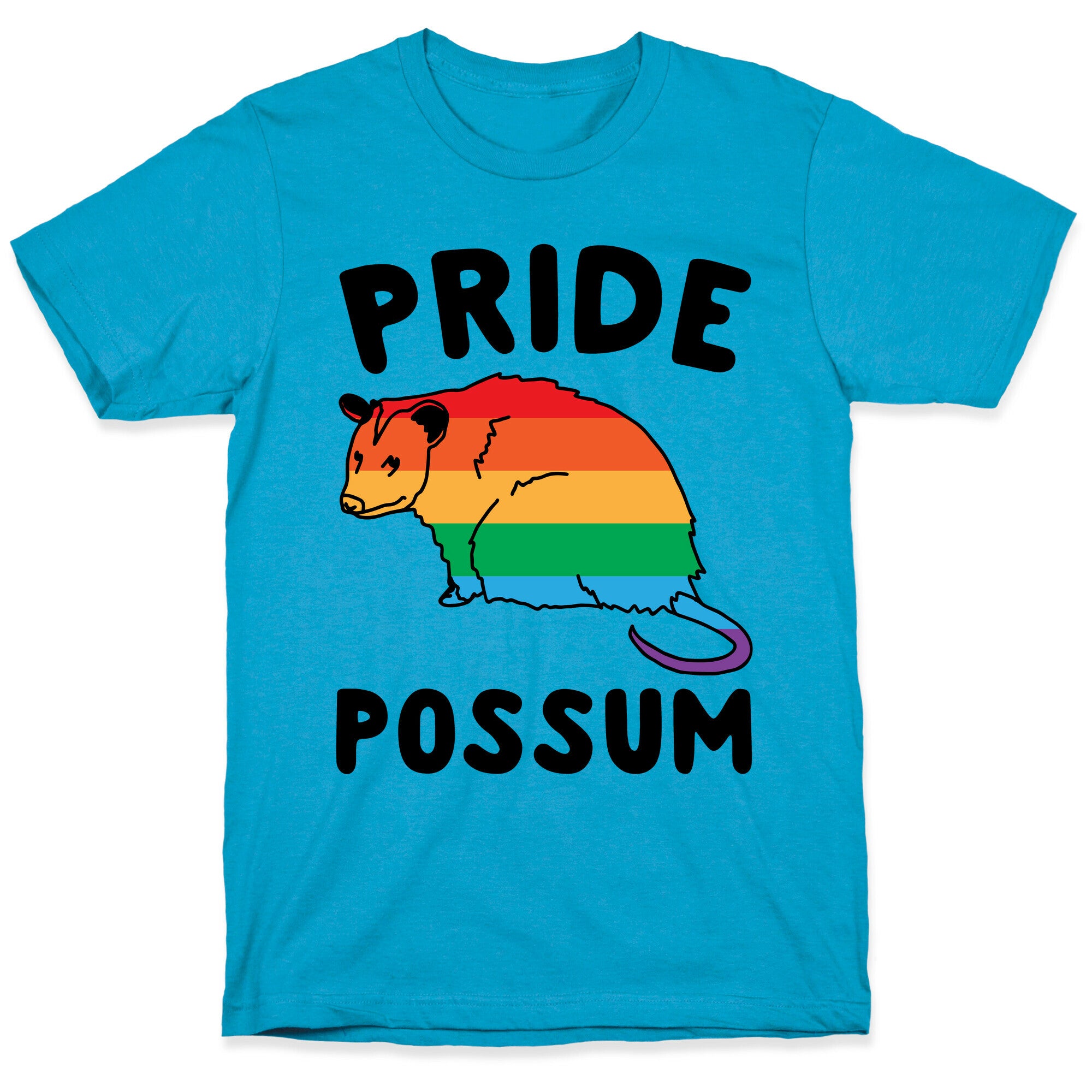 Pride Possum  Unisex Triblend Tee
