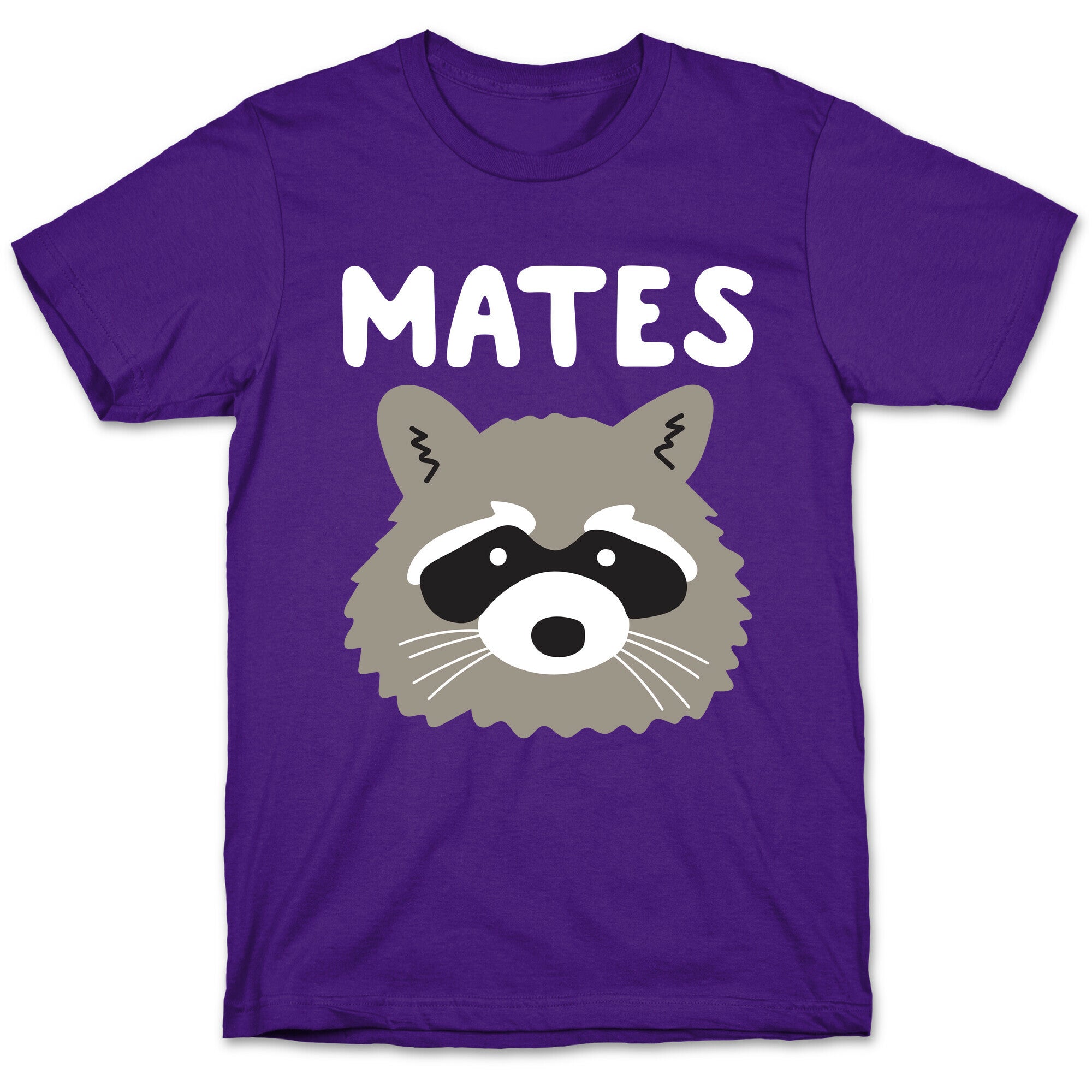 Trash Mates Pair - Raccoon 2/2 T-Shirt
