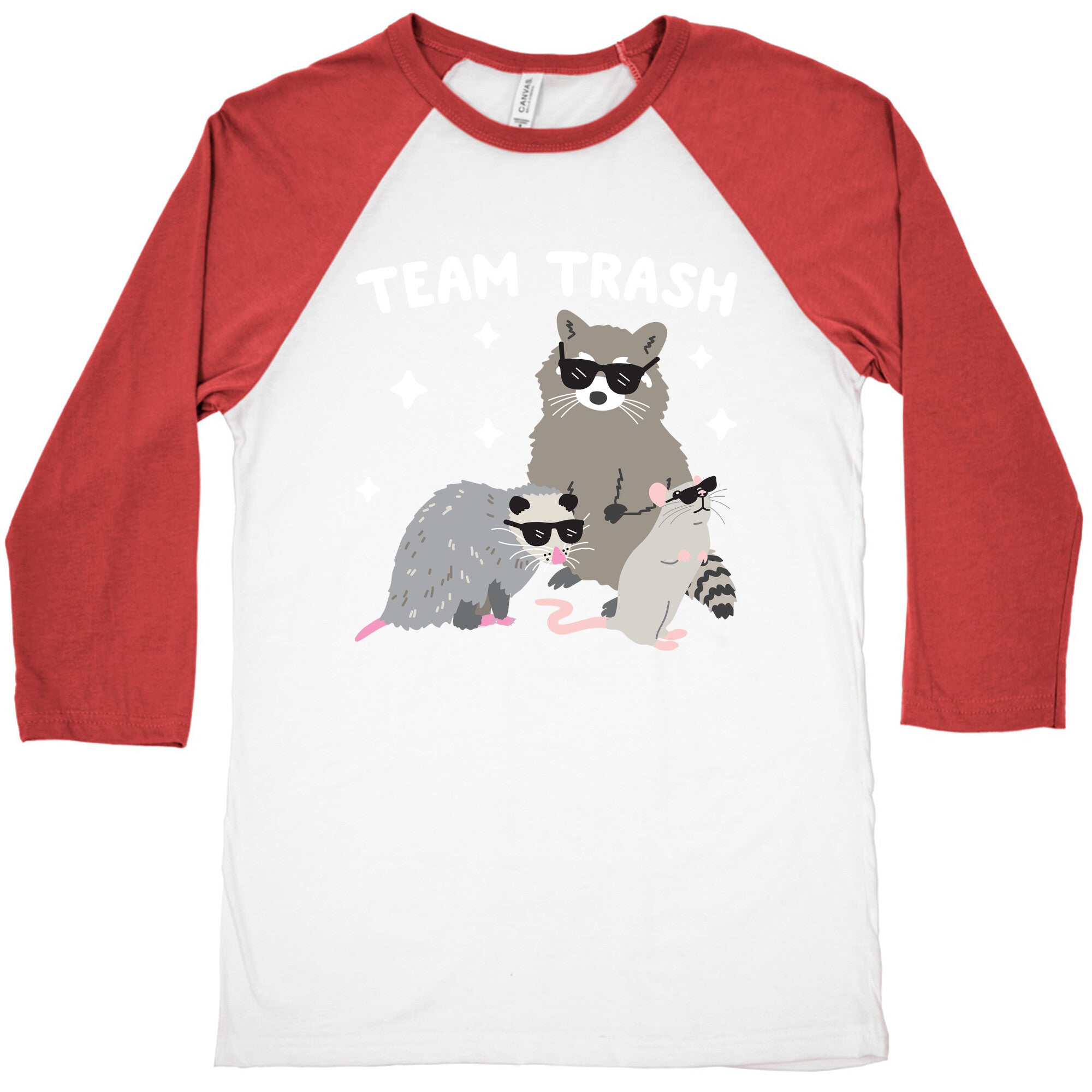 Team Trash Opossum Raccoon Rat Baseball Tee