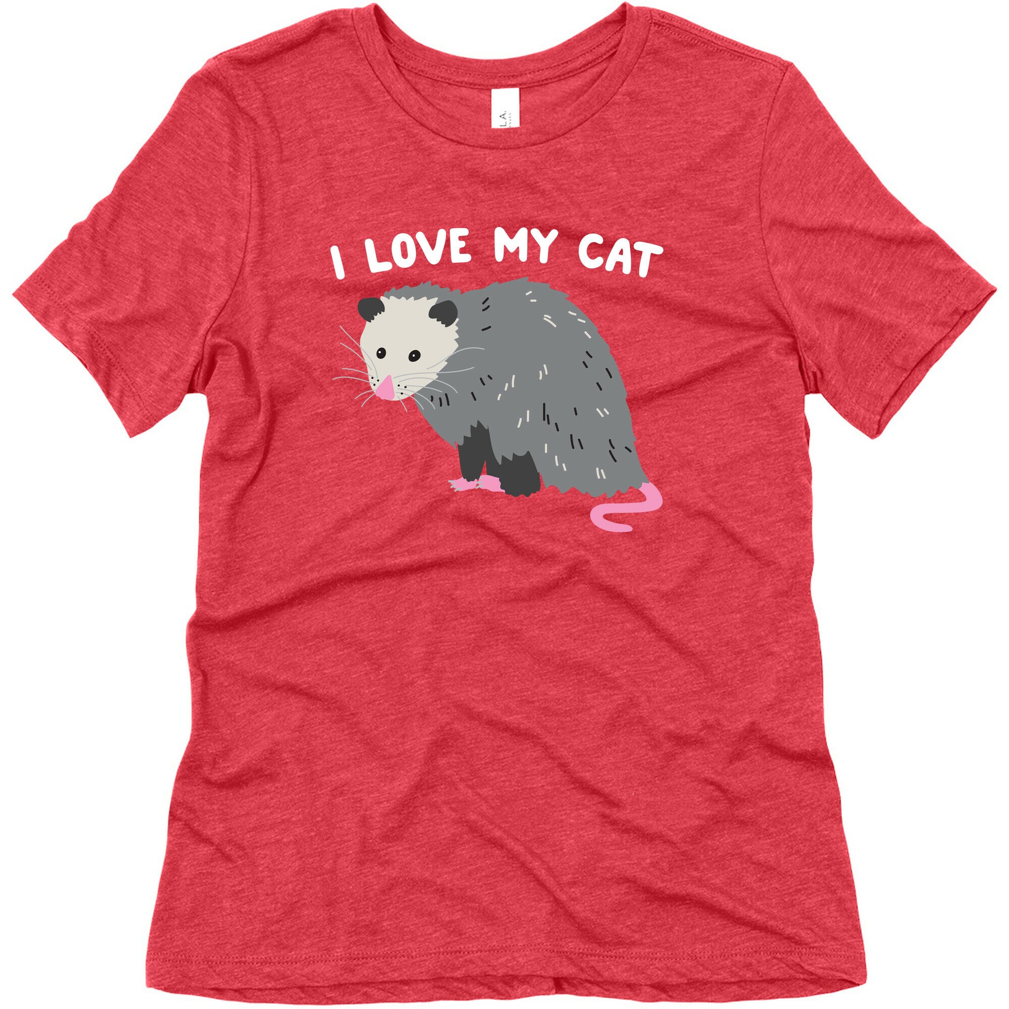 I Love My Cat Opossum Women's Triblend Tee