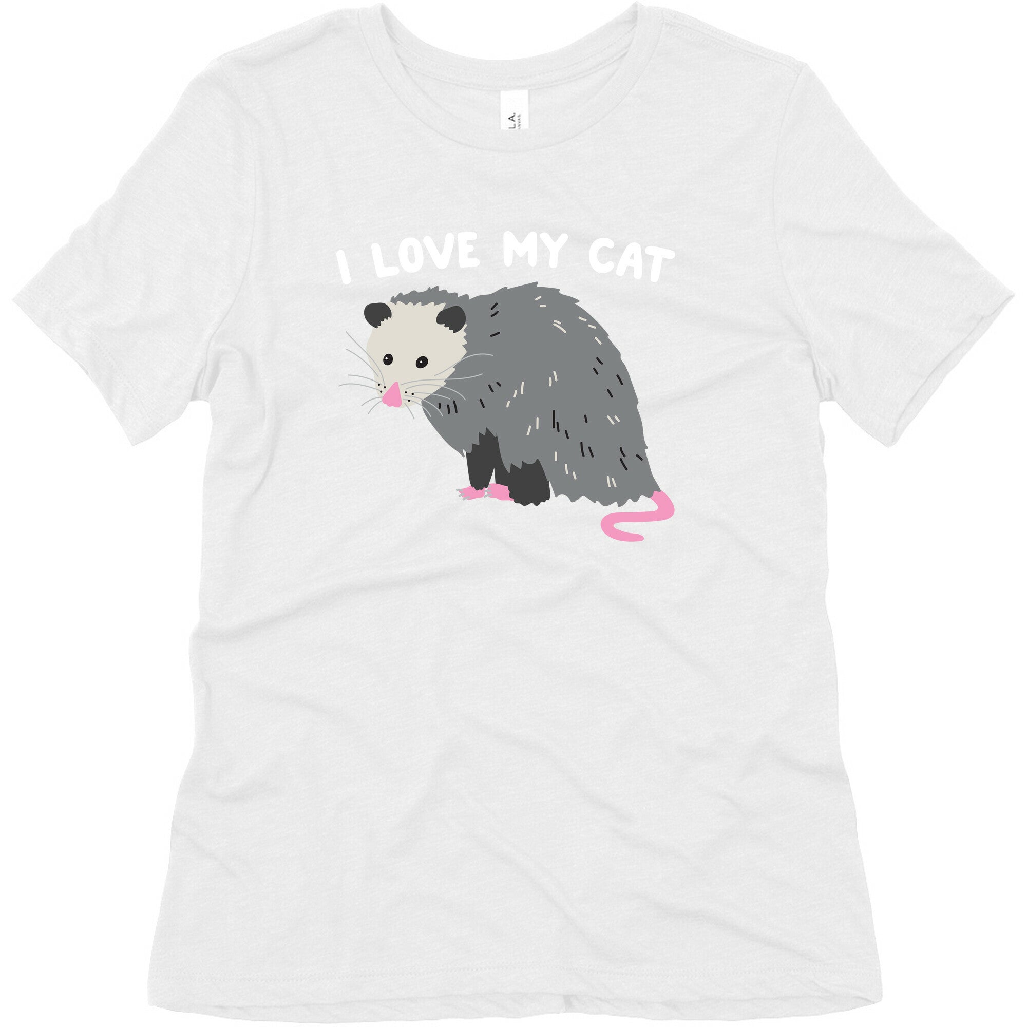 I Love My Cat Opossum Women's Triblend Tee