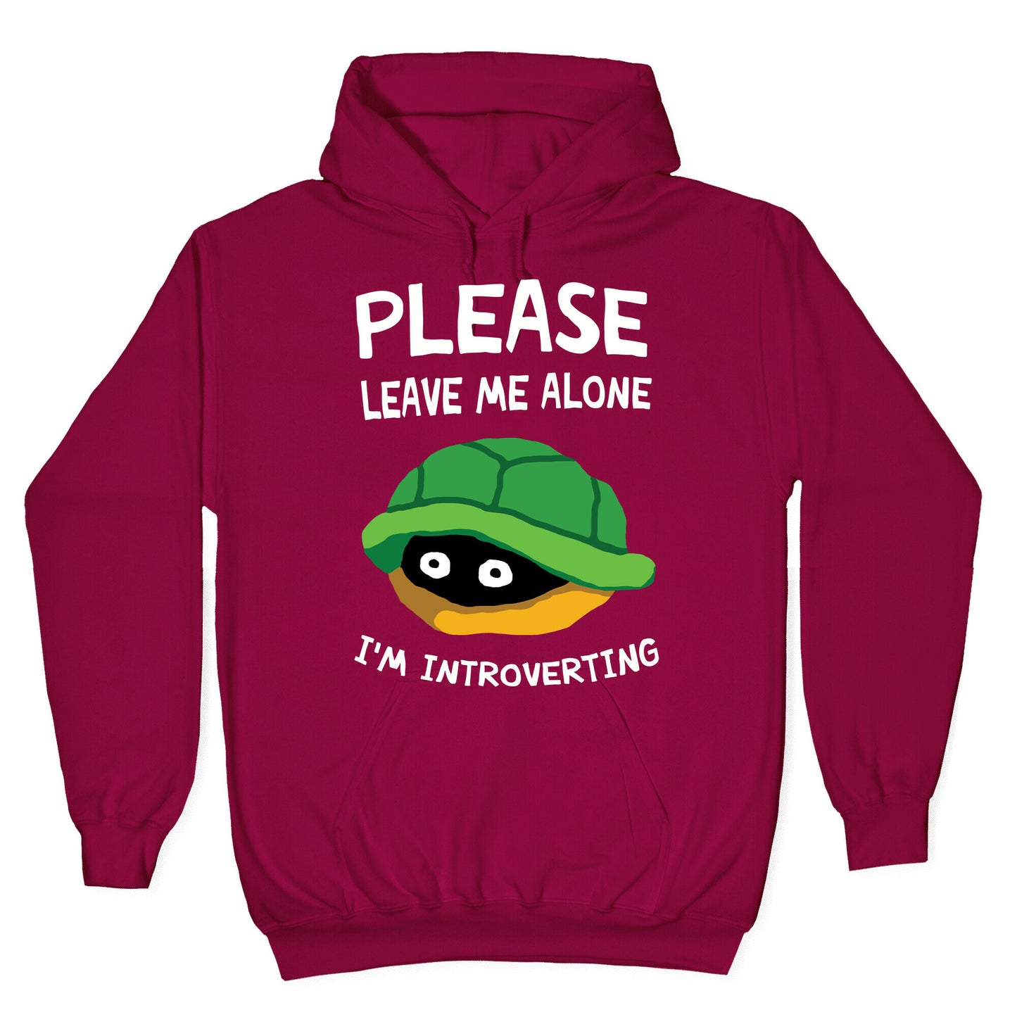 Please Leave Me Alone I'm Introverting Turtle Hoodie