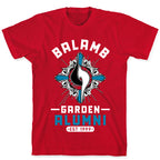 Balamb Garden Alumni Final Fantasy Parody T-Shirt