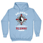 Galbadia Garden Alumni Final Fantasy Parody Hoodie