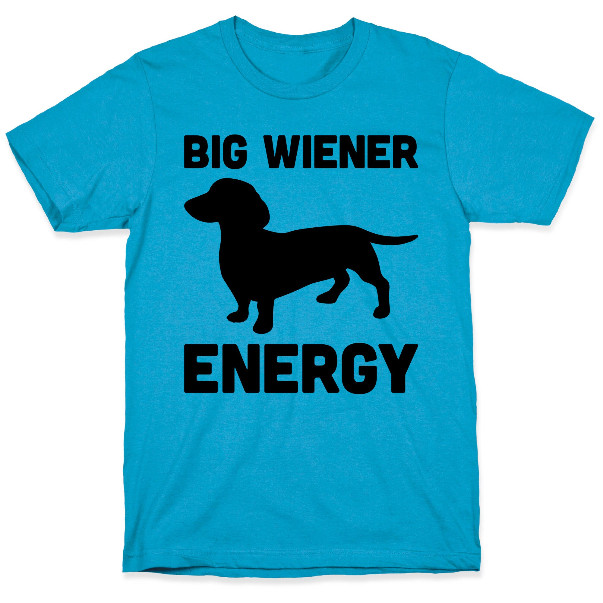 Big Wiener Energy Dachshund Unisex Triblend Tee